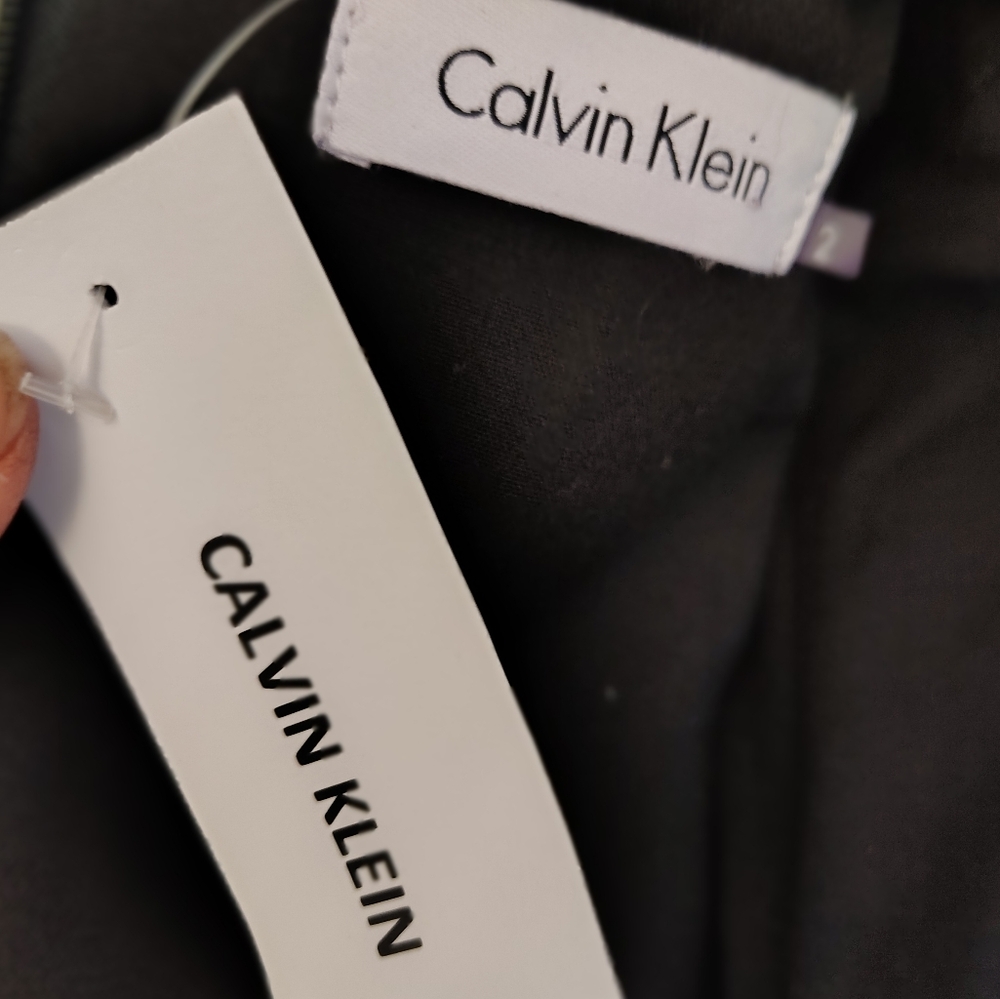 Calvin Klein TAG Shift Dress, Black, knee Lngth,  Sleeveless, Pleats, ZipUp, 2 - Picture 2 of 16